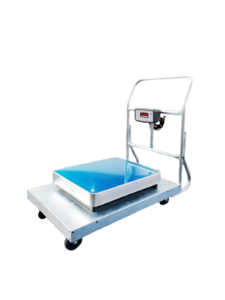 Industrial Platform Scales